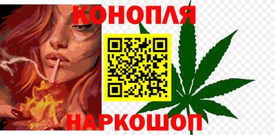 сатива Кандалакша