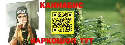 сатива Кандалакша