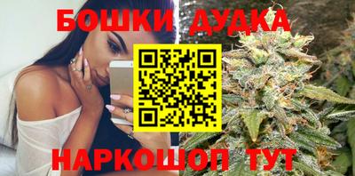 сатива Кандалакша