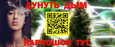 сатива Кандалакша