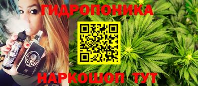 сатива Кандалакша