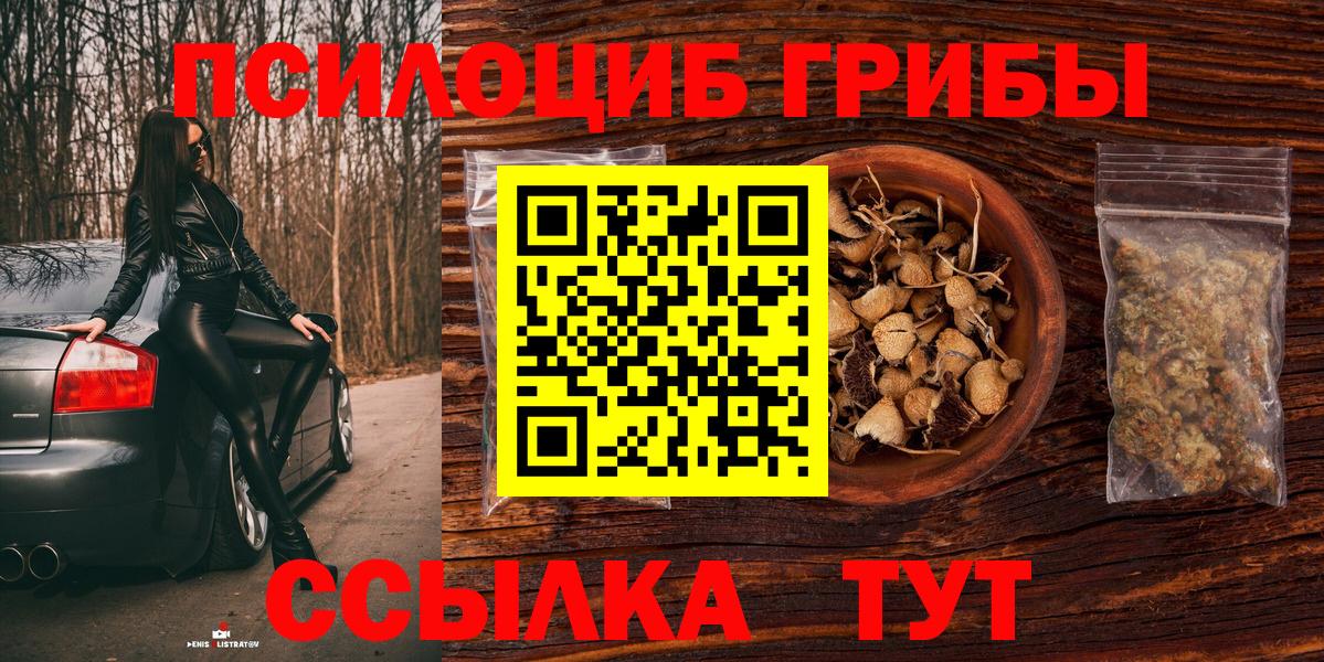Псилоцибиновые грибы GOLDEN TEACHER  Галлюциногенные грибы мухоморы  Нальчик  Вход с VPN 